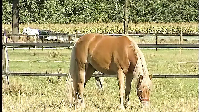 Farmárka Si Užíva Vonkajšiu Erotiku So Zmyselným Dotykom