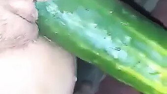 Vídeo Caseiro De Masturbação Com Pepino De Uma Adolescente Asiática